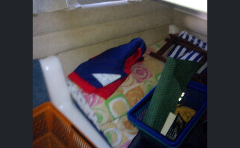 Sealine Muu malli-kuva-4